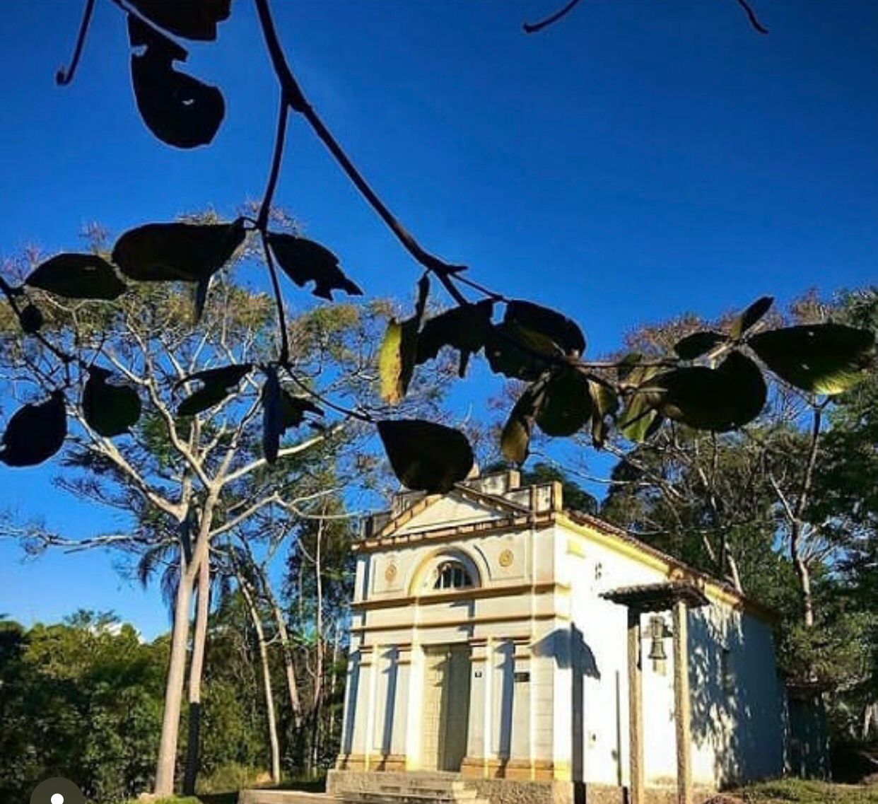 WhatsApp Image 2025-08-06 at 15.20.34.jpeg