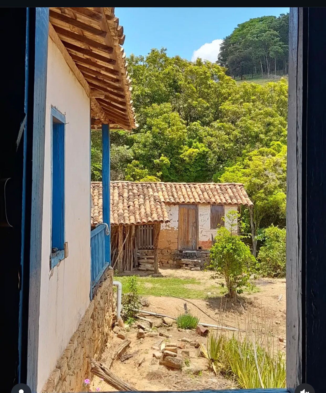 WhatsApp Image 2025-08-06 at 15.20.36(3).jpeg