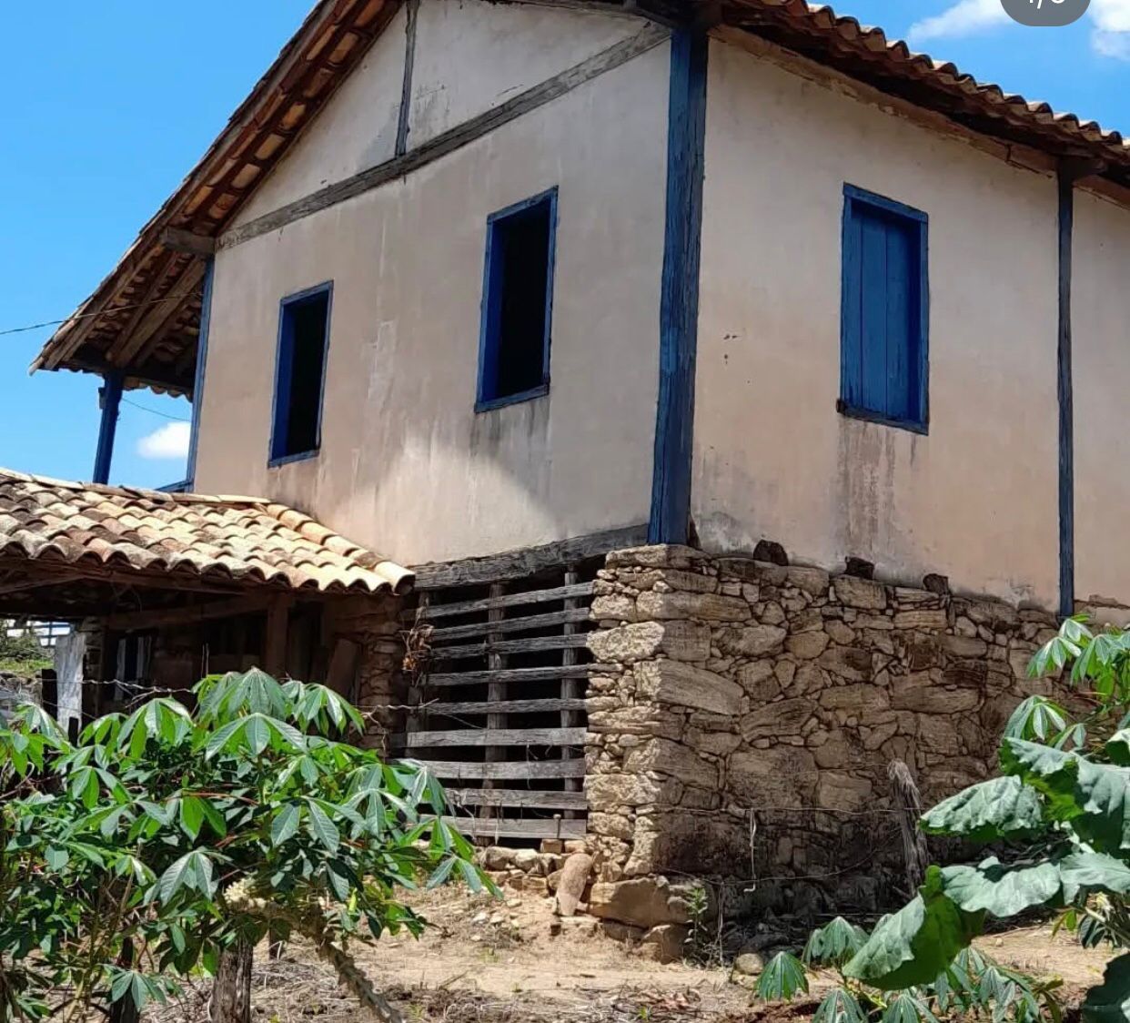 WhatsApp Image 2025-08-06 at 15.20.37(1).jpeg