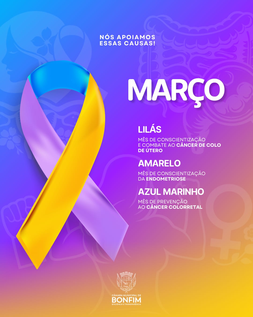 Câmara Municipal de Bonfim reforça campanhas de conscientização do mês de março