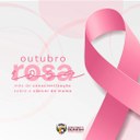 Outubro Rosa- Mês de conscientização sobre o Câncer de Mama